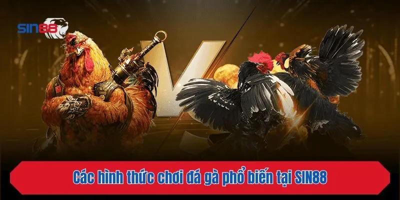 Các hình thức chơi đá gà phổ biến tại SIN88
