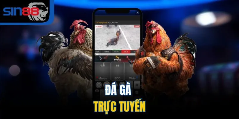 Đá gà trực tuyến