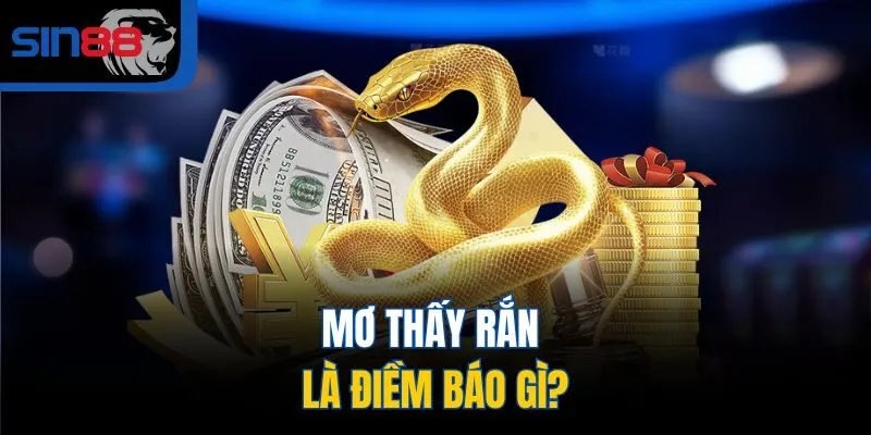 Mơ thấy rắn là điềm báo gì?