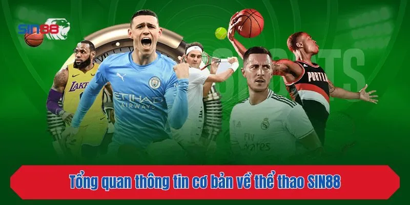 Tổng quan thông tin cơ bản về thể thao SIN88